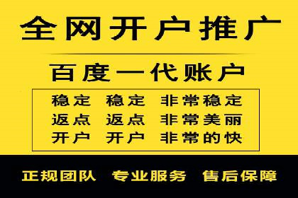 竞价广告的投放技巧与网络推广的实践