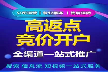 SEM托管实战：某电商平台的成功经验